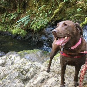 Fundraising Page: Jeanne Binder